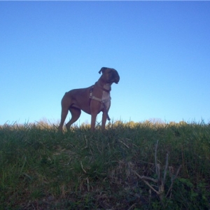 On Top of the World