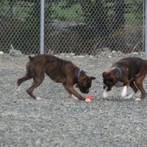 Kato and Molly