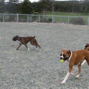 playing...