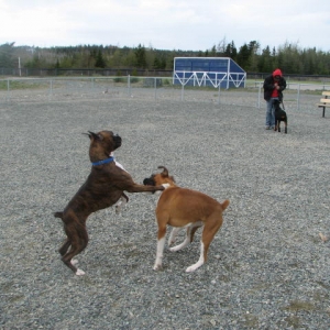 Kato and Jaeger