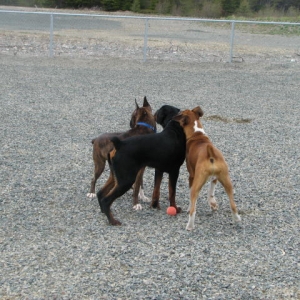 Gabe, Kato and Jaeger