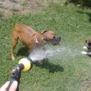 water fun