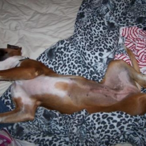 Sleepy