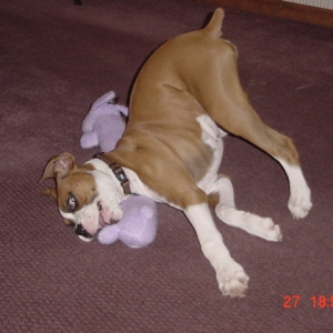 Put your butt up in the air... :)