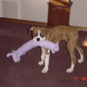 Loving his new toy...Picked it out himself...:)