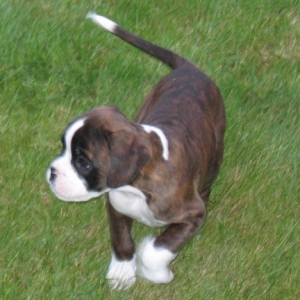 Rina running