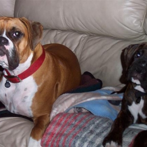 My Kids