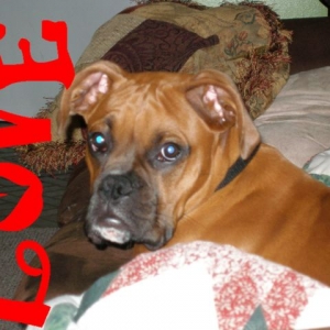 Xander
