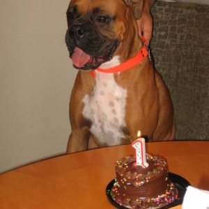 Birthday Boy....So Happy!
