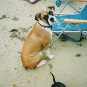 Abby Gayle - May 12, 2006