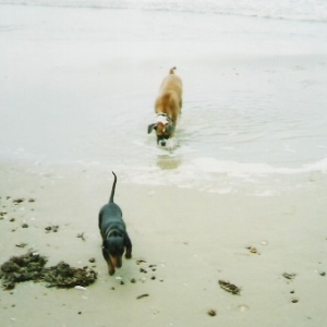 Abby & Petals - the best of friends.
