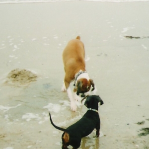 Abby & Petals