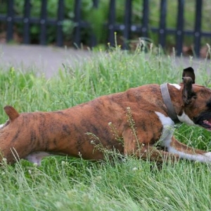 Full stretch