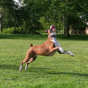 Catch it!