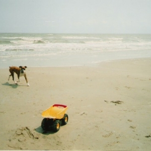 Abby ... having a blast at the beach!