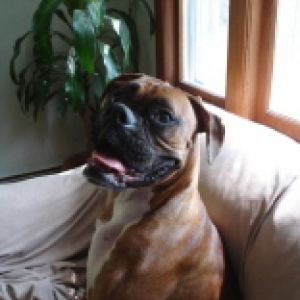He is my Handsome Boy