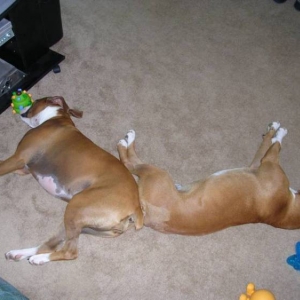 Butt to Butt