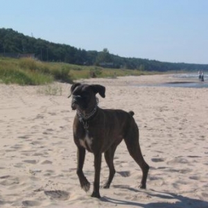 Lizzie Jane - Summer 2005