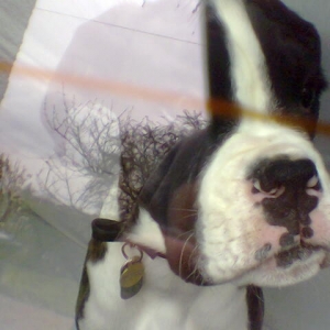 Looking out of the boot.