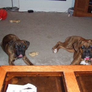 Kaybie & Charlotte