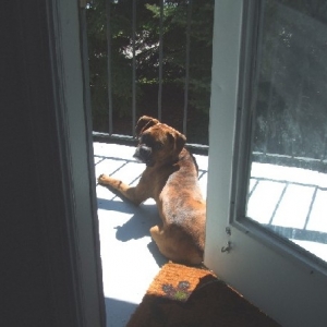 Laying out in the sun