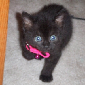 What a face!