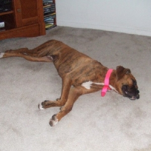 After the dog park!