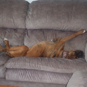 I'm so comfy!
