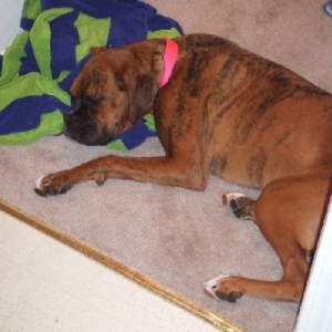 Tired Baby