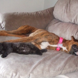 Kaybie & Onyx