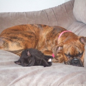 Sleeping Babies