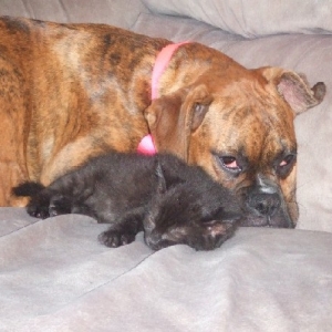 Kaybie & Onyx
