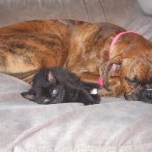 Lazy girls!