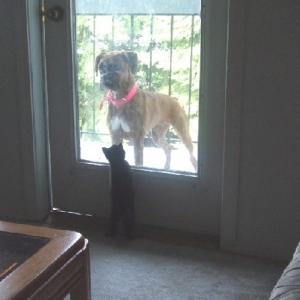 Can I come out too???