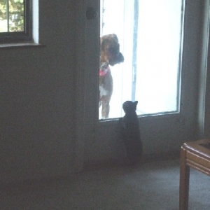 What are you doing out there?