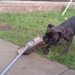 Helping mum brush