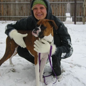 Ginger_in_snow_IMG