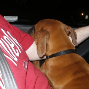 Xan sleeping on Daddy