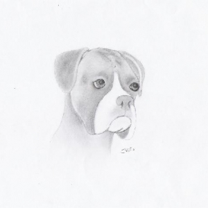 Sketch
