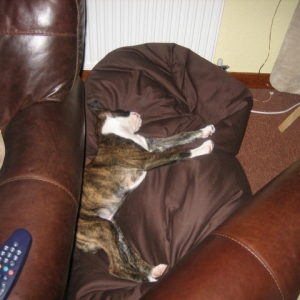 bean bags are great