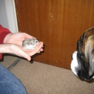 my furry cousin