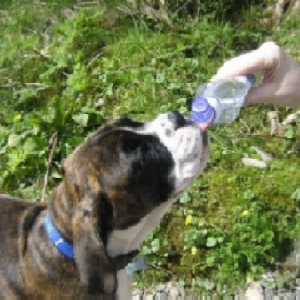 thirsty work