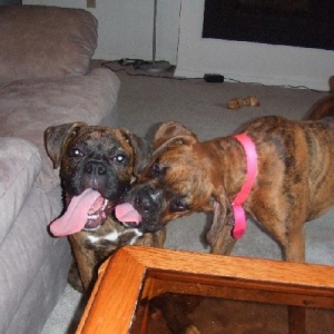 Kaybie giving Charlotte kisses