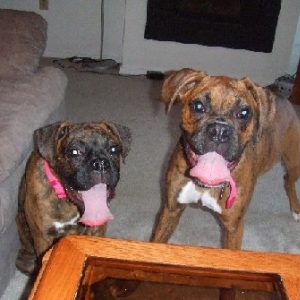 Big Tongue Girls