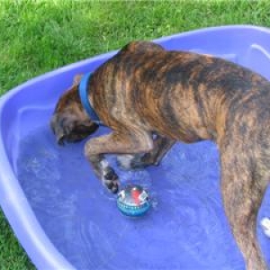 In the pool!!