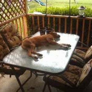 Get off the table!!!!!