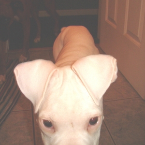 Nosing the camera!