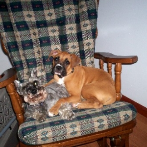 Maggie trying to share a seat...