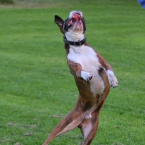 Agile