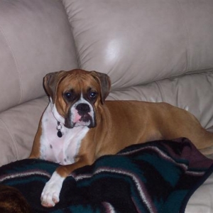 Samantha - 11 Month's Old